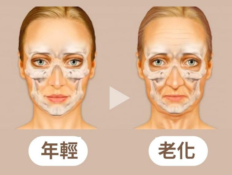 一張含有 人的臉孔, 前額, 下巴, 眉毛 的圖片

AI 產生的內容可能不正確。