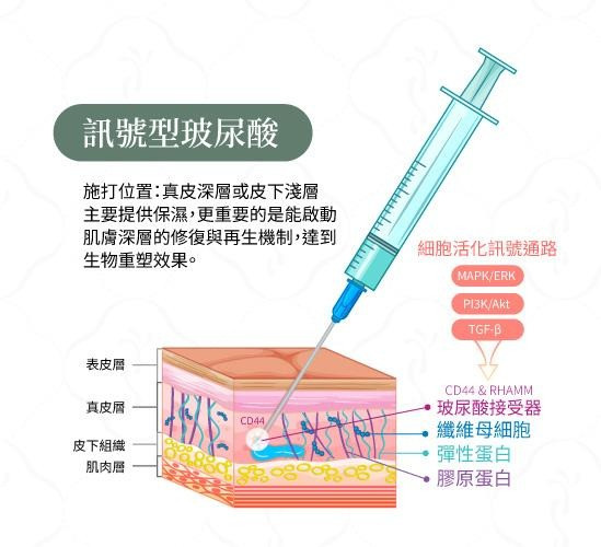 一張含有 文字 的圖片

AI 產生的內容可能不正確。