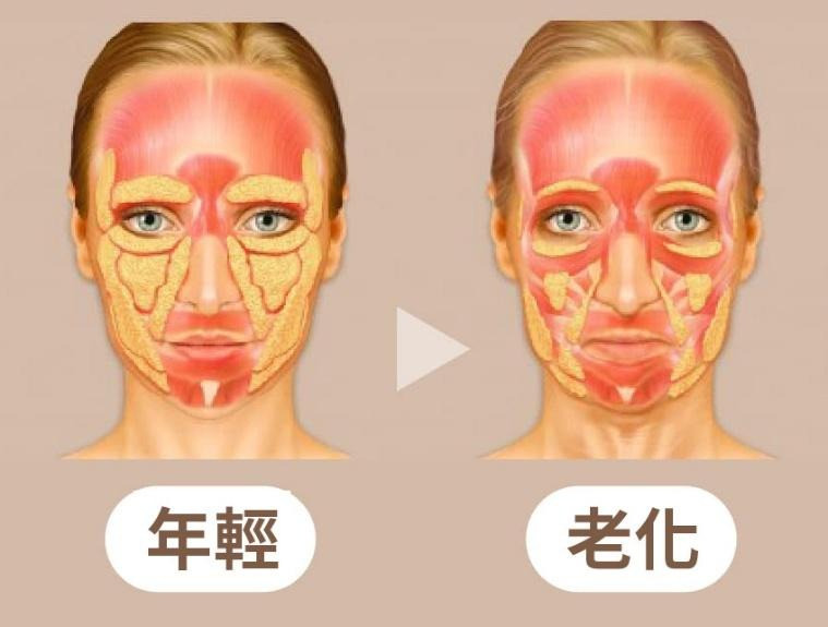 一張含有 前額, 下巴, 人的臉孔, 皮膚 的圖片

AI 產生的內容可能不正確。