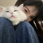 台灣貓七正妹Gleezy ：bkb5522約炮Telegram搜尋：@MM3272