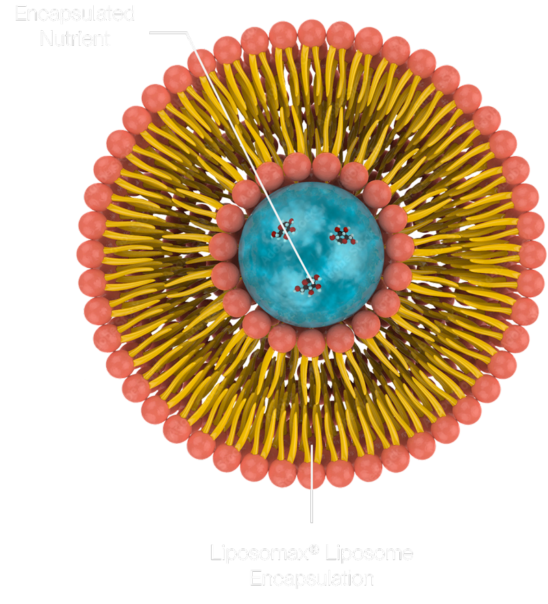 PURENESS LiNK liposomal Vitamin C