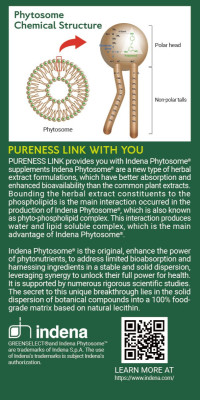PURENESS LiNK liposomal POLYPHENOL & PHYTOSOME