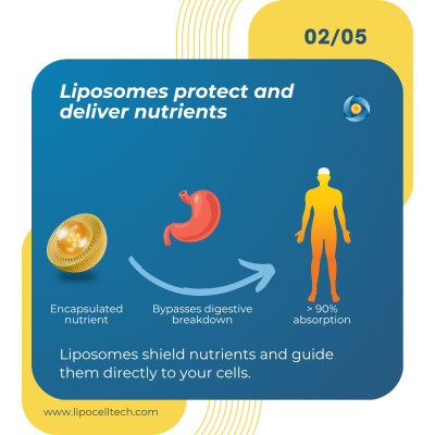 LipoCellTech Liposome Vitamin C