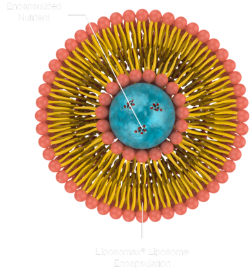 PURENESS LiNK liposomal Vitamin C