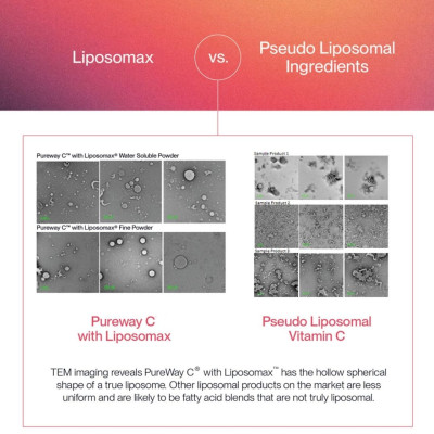 PURENESS LiNK liposomal Vitamin C